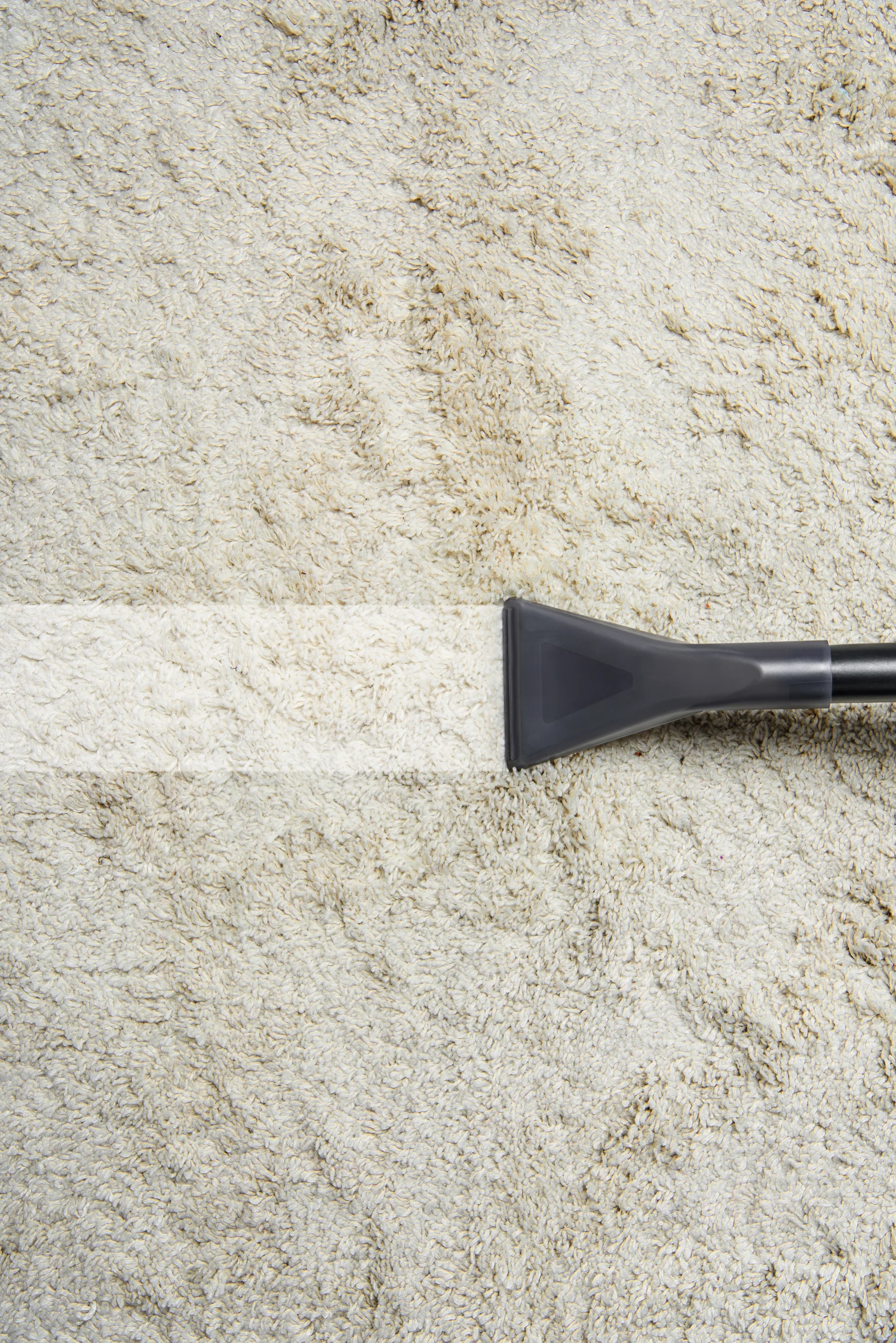Close-up of a vacuum head cutting a clean path through a shaggy carpet